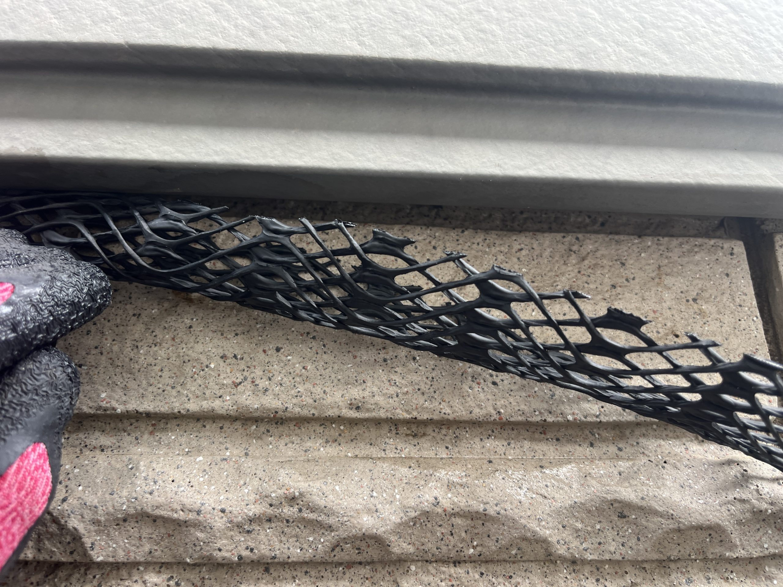 埼玉　コウモリ駆除　笠木への侵入防止