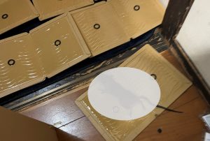 捕獲されたネズミ