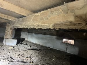 シロアリの食害に遭った床下の木材