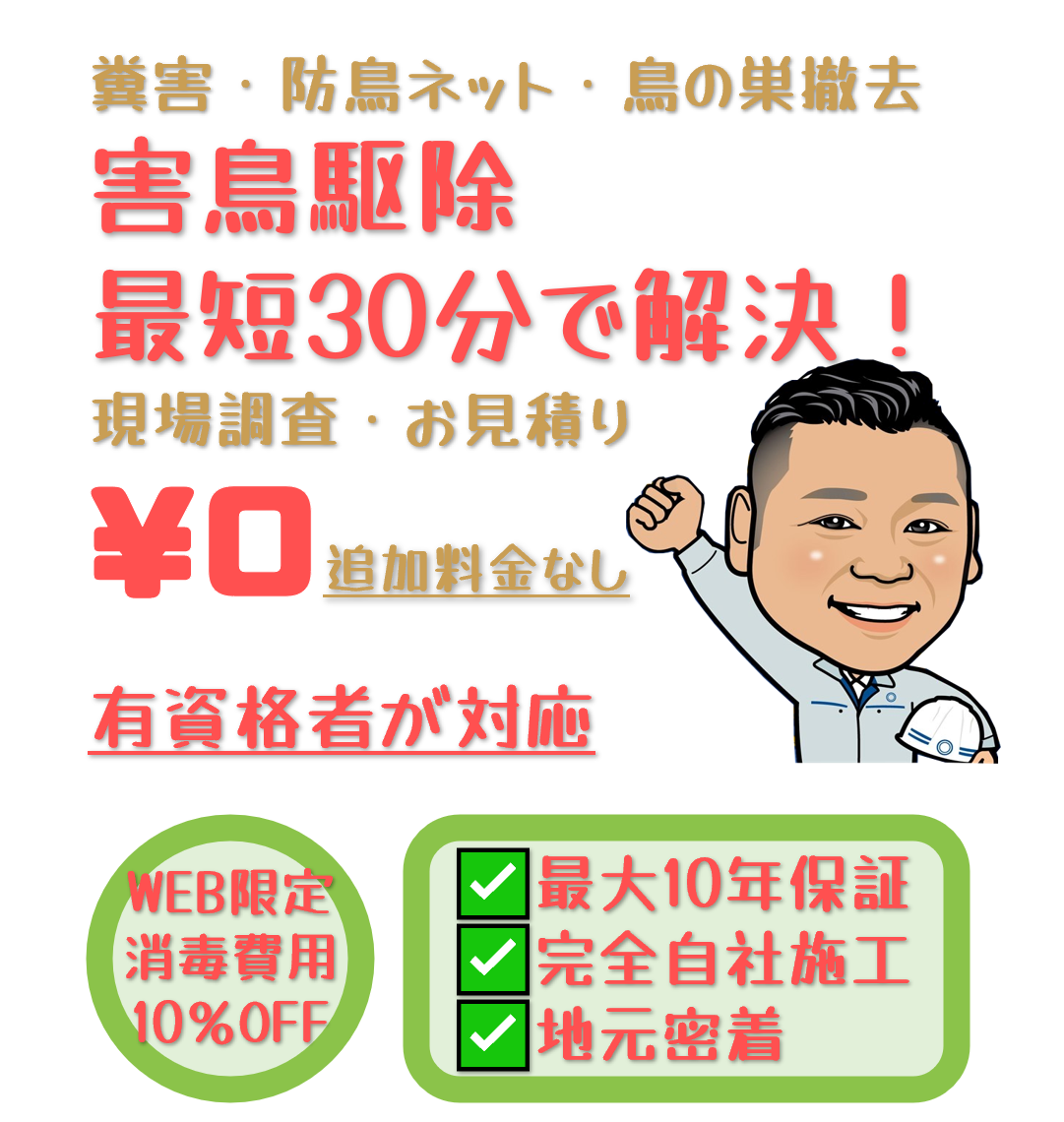 害鳥駆除（埼玉県さいたま市） 鳥の巣撤去 防鳥ネット取付 糞害対策 見積無料