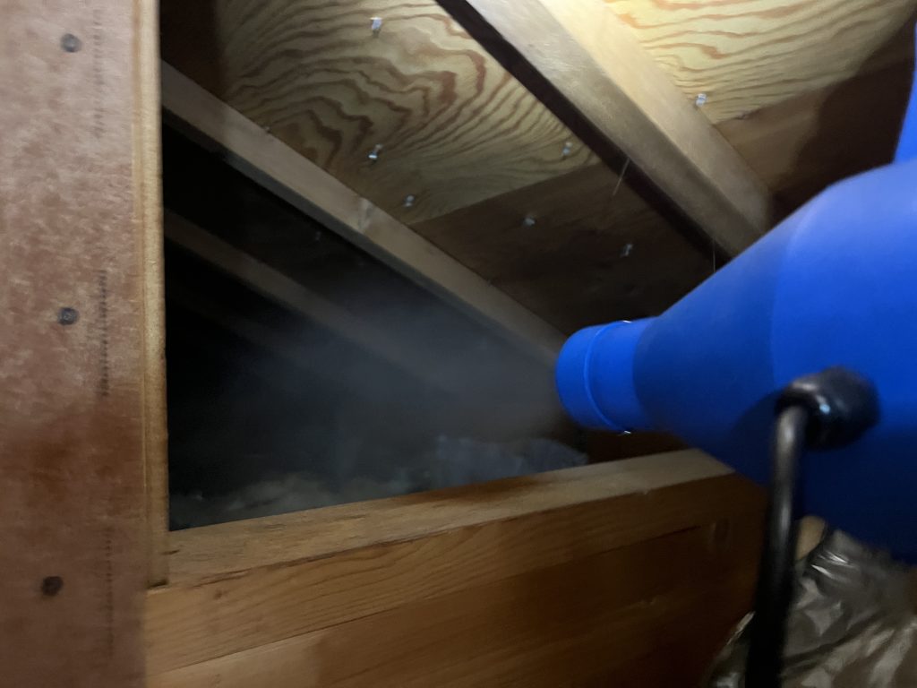 埼玉　コウモリ駆除　天井裏からの殴打し