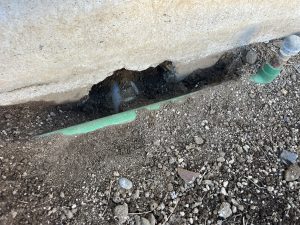 春日部市ネズミ駆除　基礎の穴　施工前