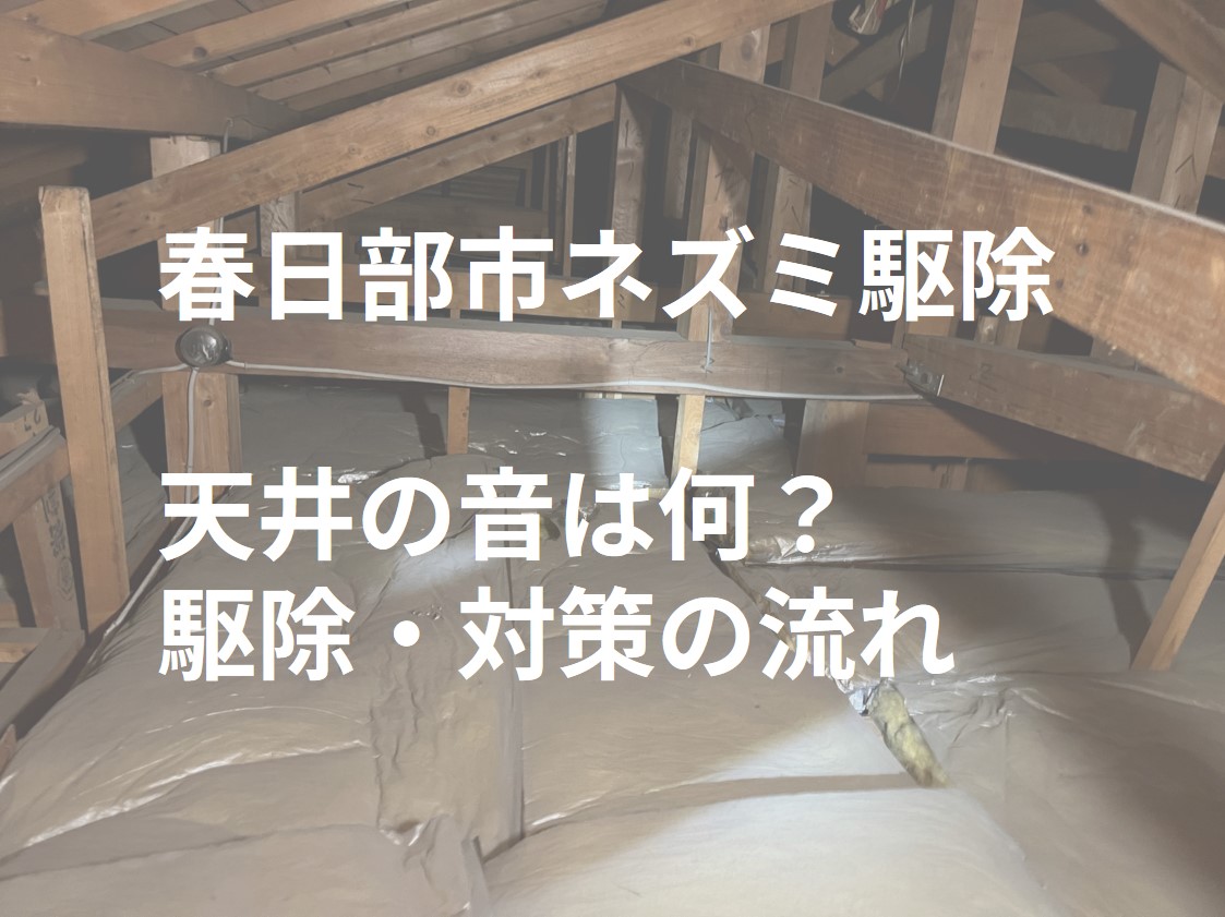 春日部市　ネズミ駆除　天井の音は何？駆除・対策の流れ