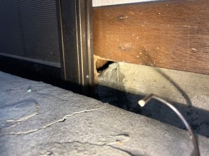 ネズミの侵入経路になっていた穴