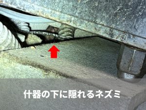 食洗器の下に隠れていたネズミ