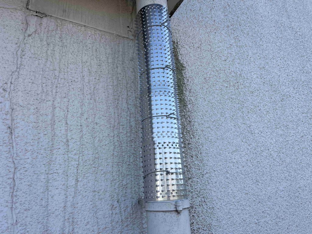 雨どいへの侵入防止スパイク取付