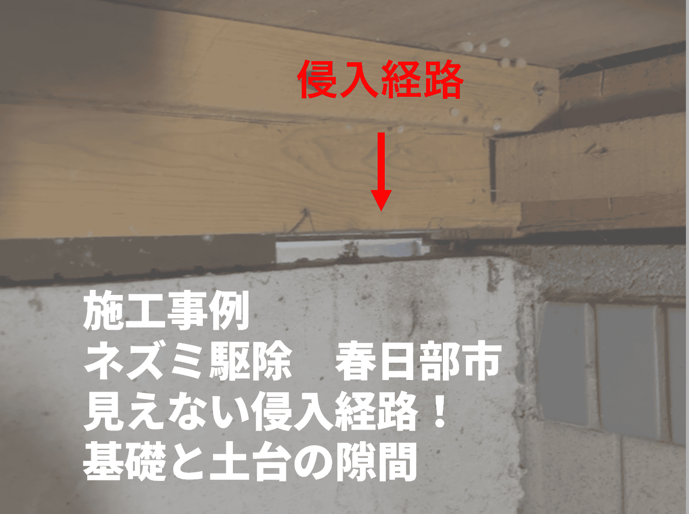 施工事例　春日部市　ネズミ駆除　見えない侵入経路　基礎と土台の隙間からの侵入