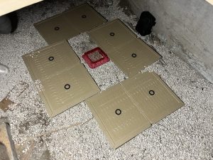 ネズミ駆除　粘着シートの設置
