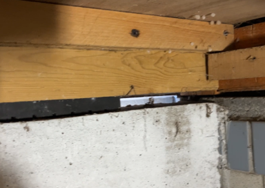 春日部市 ネズミ駆除 床下からの侵入 基礎と土台の間に隙間がある。