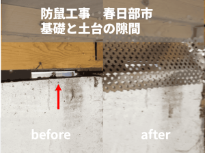 春日部市で行った床下の防鼠工事のビフォーアフター