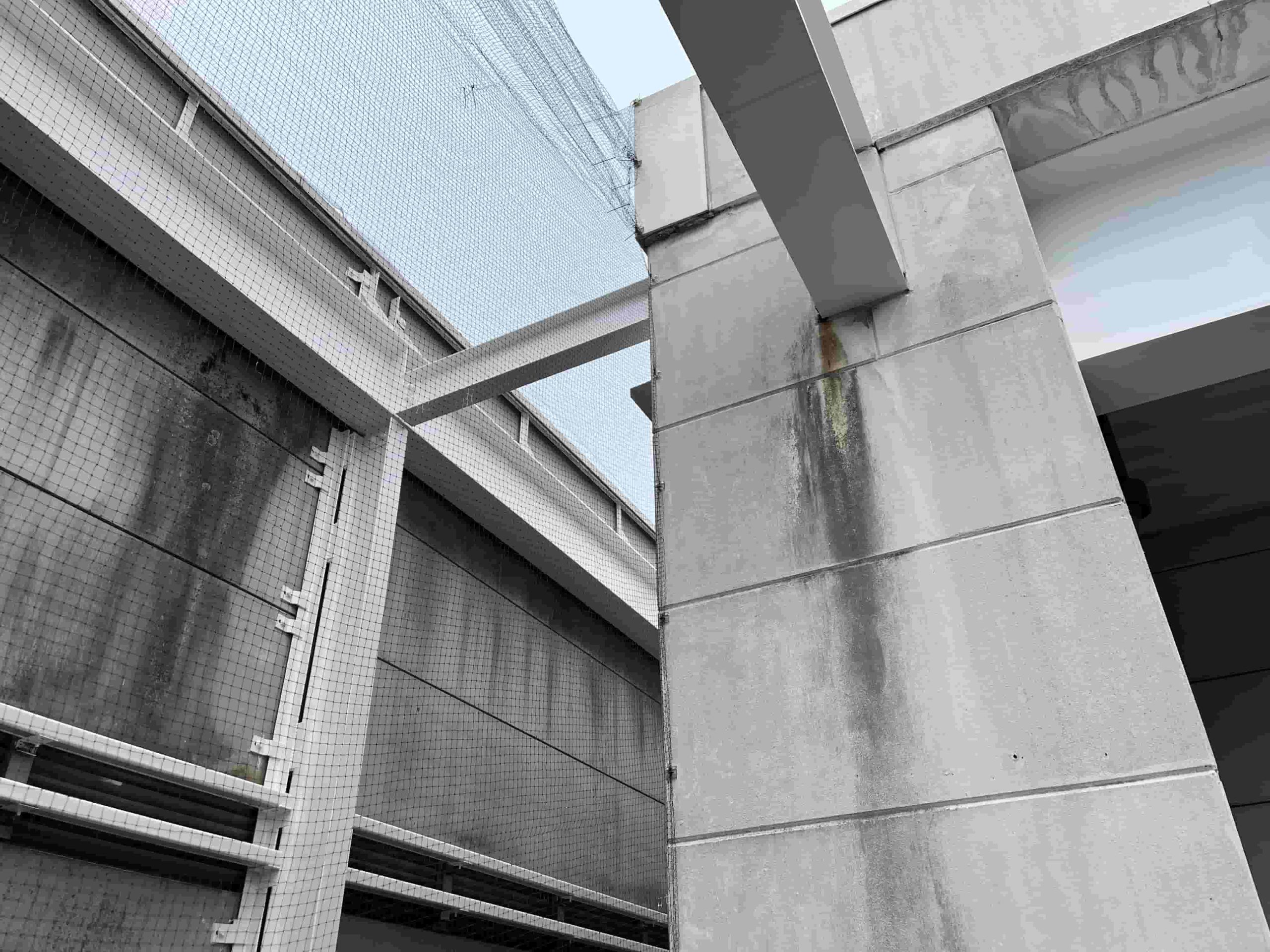 防鳥ネットの補修