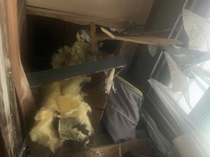 アライグマに破壊された天井