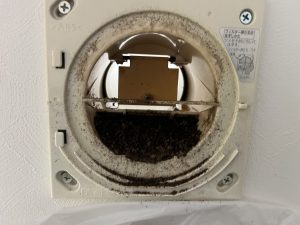 コウモリの糞が溜まってしまった通気口