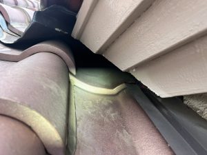 ハクビシンの侵入経路　2階屋根