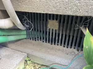 ネズミの侵入経路　基礎通気口