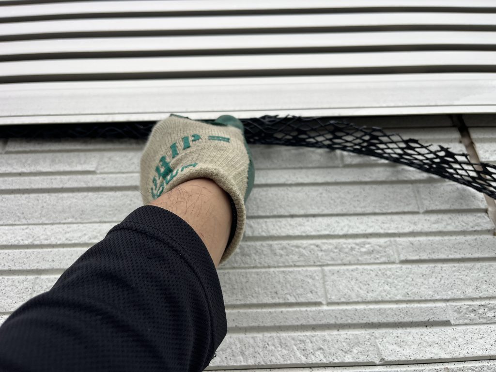 コウモリ駆除　笠木への侵入防止