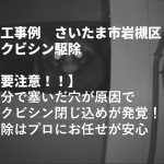 施工事例　さいたま市岩槻区ハクビシン駆除【要注意！！】自分で塞いだ穴が原因でハクビシン閉じ込めが発覚！！防除はプロにお任せが安心