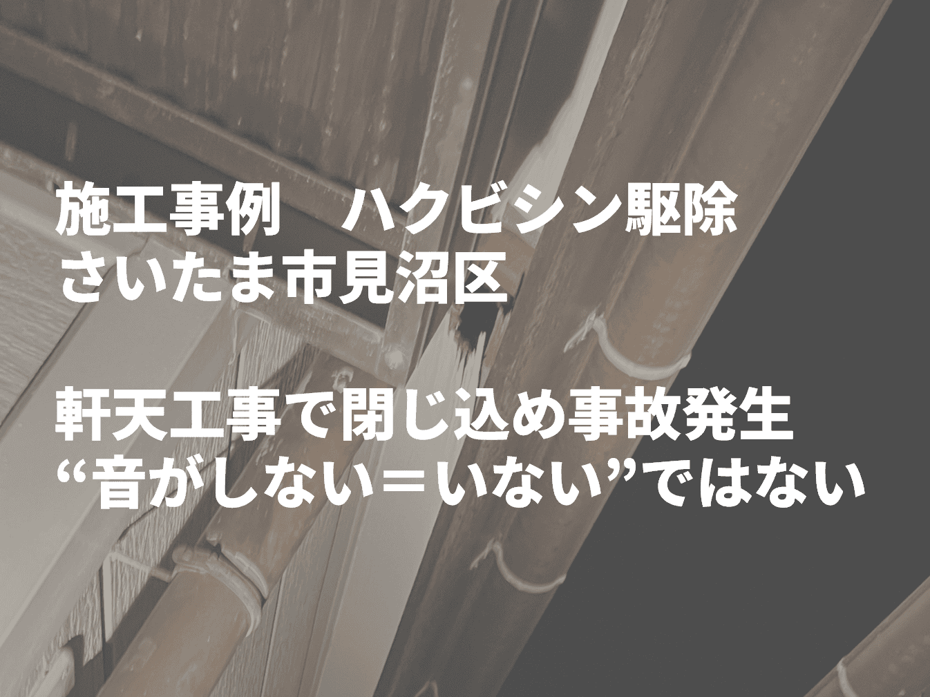 さいたま市のハクビシン駆除｜軒天工事で閉じ込め事故発生｜“音がしない＝いない”ではない潜伏ケースの実例