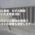 さいたま市でネズミ防除｜天井裏の糞と基礎通気口の破損が判明したケース