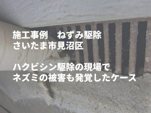 さいたま市でネズミ防除｜天井裏の糞と基礎通気口の破損が判明したケース