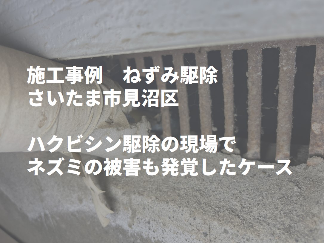 さいたま市でネズミ防除｜天井裏の糞と基礎通気口の破損が判明したケース
