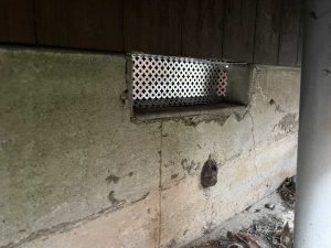 ネズミの侵入経路ー施工後①