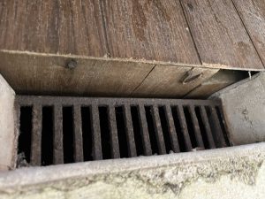 ネズミの侵入経路