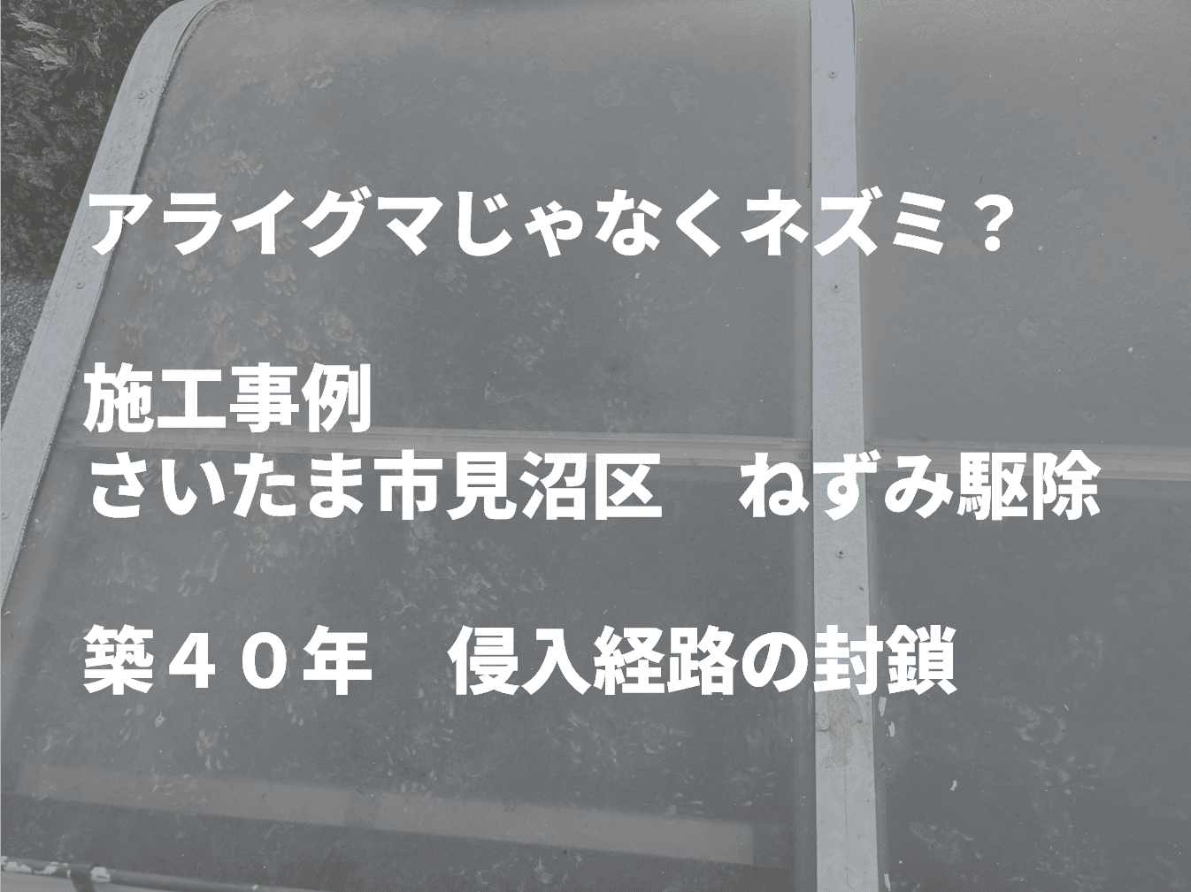 アライグマじゃなくネズミ？ 施工事例 さいたま市見沼区　ねずみ駆除 築４０年　侵入経路の封鎖