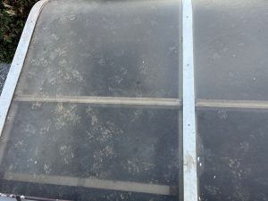 アライグマの足跡