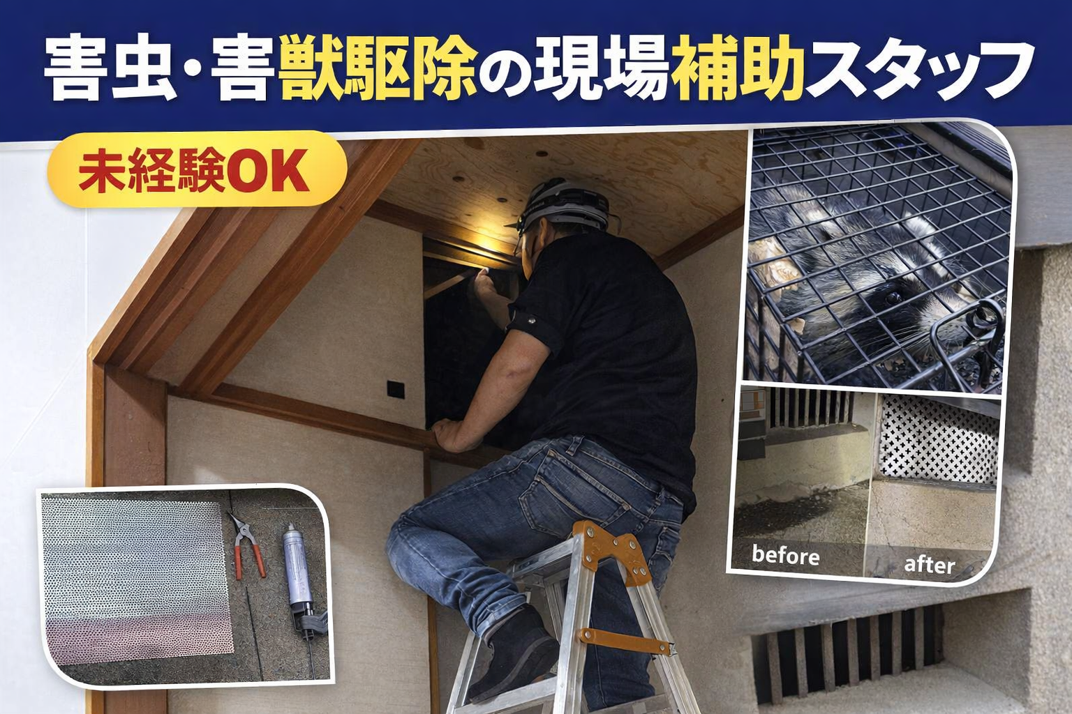 害虫・害獣駆除の現場補助スタッフ募集